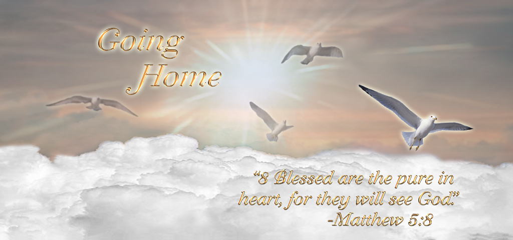 BZ Going Home (Matthew 5 8) PROOF 2